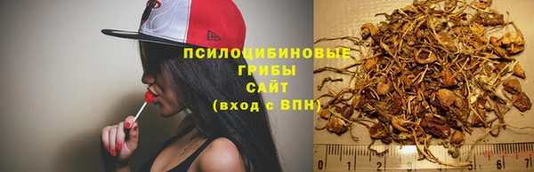 Альфа ПВП Дмитриев
