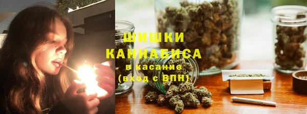 Альфа ПВП Дмитриев